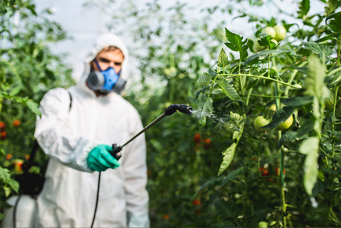 Mise à jour 2024 des régulations internationales sur les pesticides